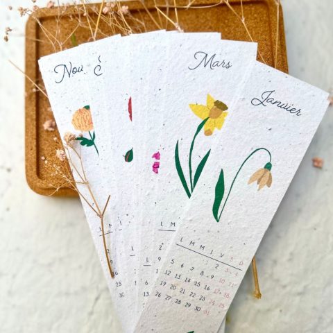 Calendrier 12 marque-pages ensemencés 2026
